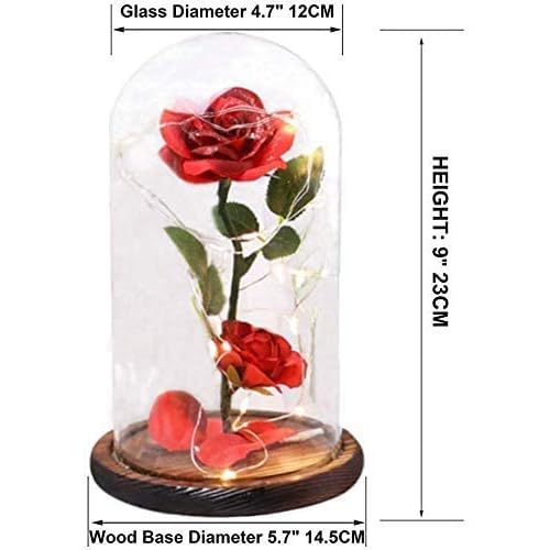 Buy Beauty And The Beast Rose Rose Kit Red Silk Rose And Led Light With Fallen Petals In Glass Dome On Wooden Base Valentine S Day Anniversary Birthday Online In Italy B07c868ny2